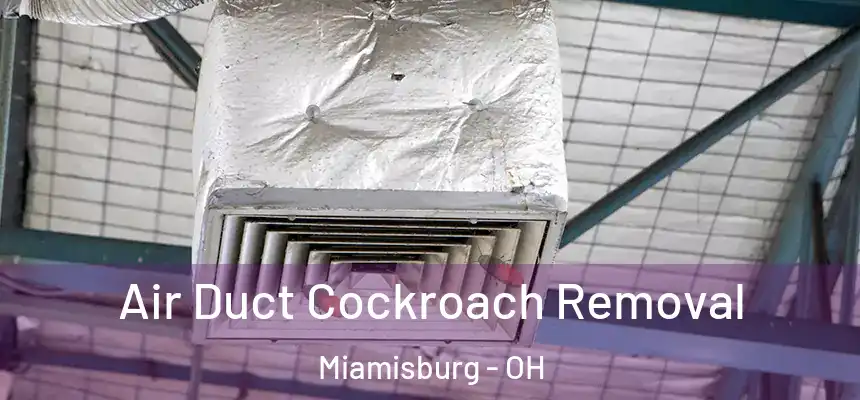  Air Duct Cockroach Removal Miamisburg - OH