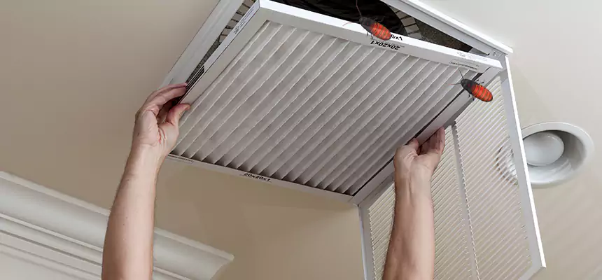 Preventive Cockroach-Proofing for Ducts in Miamisburg