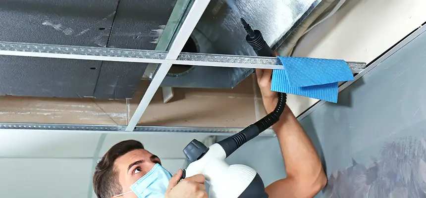 Our Air Duct Rodent Removal Services in Miamisburg, OH