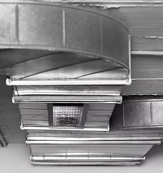 Professional Air Duct Pest Removal in Miamisburg, OH