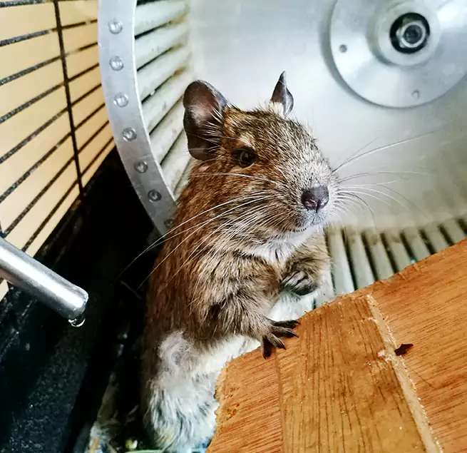 Why Homeowners & Businesses Trust Us Miamisburg, OH?